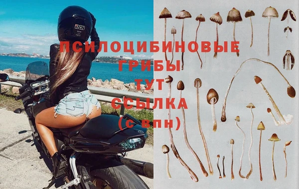 СК Новокубанск