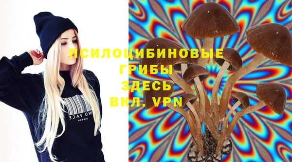 apvp Куртамыш