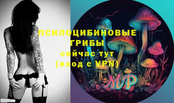 кокс Новозыбков