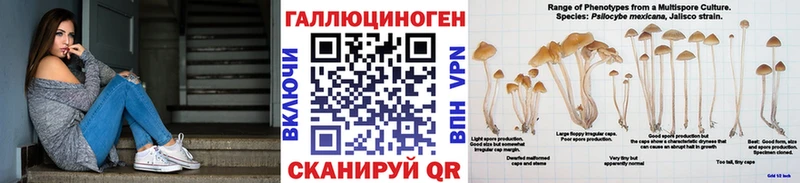 Псилоцибиновые грибы ЛСД  mega зеркало  Новоуральск 